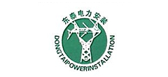 东泰电力